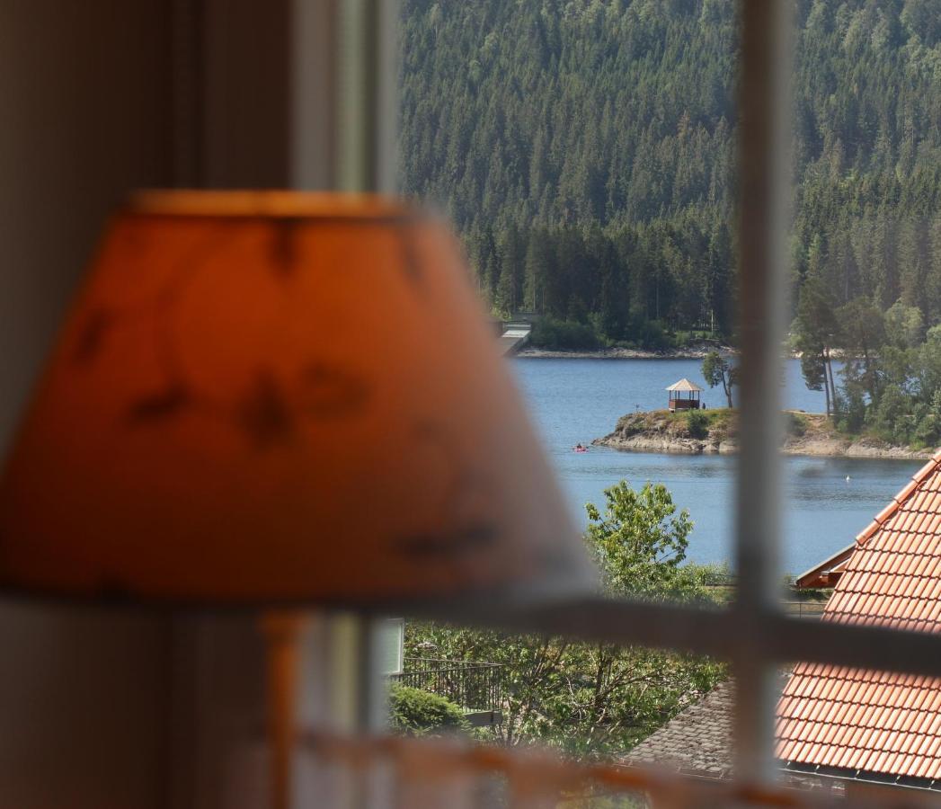 Landhaus-Vintage Fe-Wo-Apartment 5 Schluchsee Kültér fotó